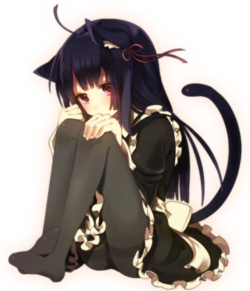 15492618.jpg